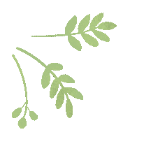 中考倒计时|少年追风赶月,为中考全力以赴 第11张