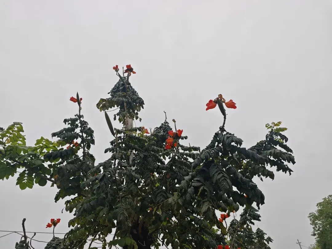 写给离中考还有50天左右的初三毕业生,这些话可要记住了(中考2601) 第4张