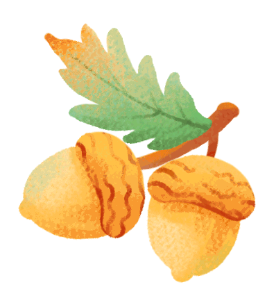 2026北京海淀中考:直升、校额到校、统招数据+录取分数+排名全汇总 第38张