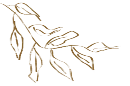 【2026年中考数学】静安区「解读」 第3张