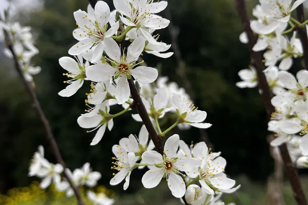 【2026年中考数学】静安区「解读」 第5张