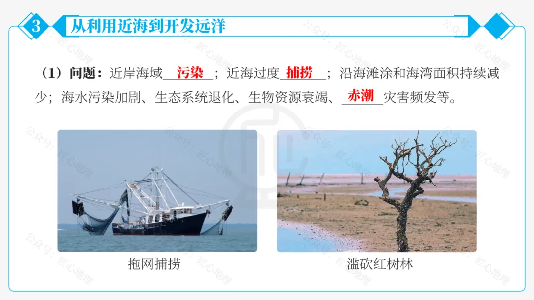 新教材 | 中考一轮复习·中国的海洋资源(课件+导学单+练习题) 第42张