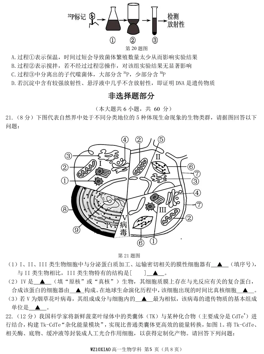 2026年4月温州十校高一期中联考生物试卷、答案 第5张