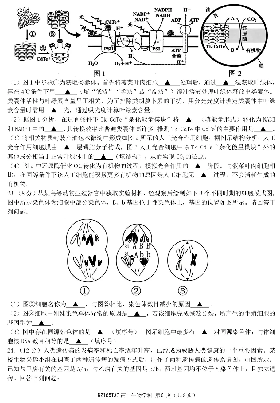 2026年4月温州十校高一期中联考生物试卷、答案 第6张