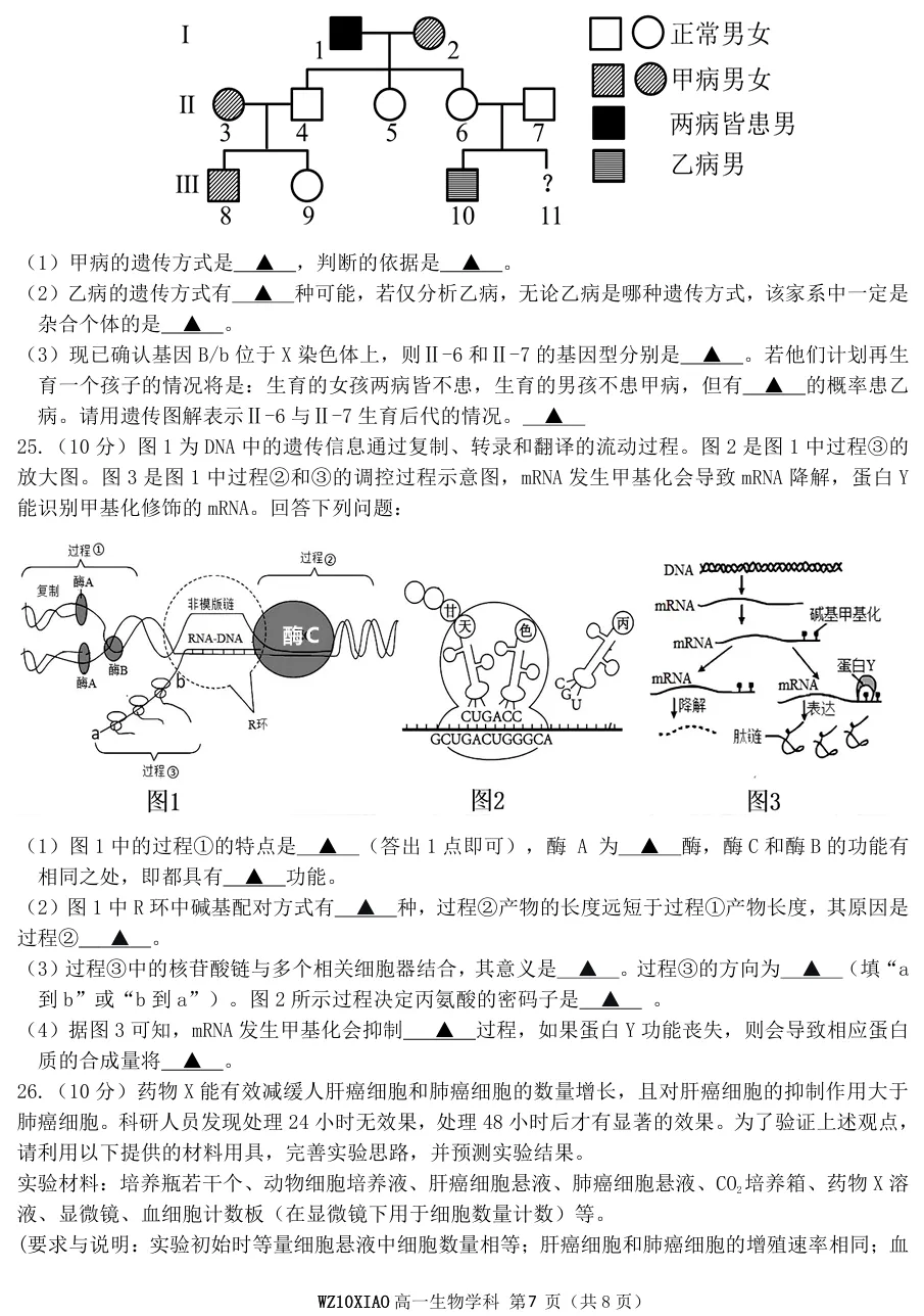 2026年4月温州十校高一期中联考生物试卷、答案 第7张