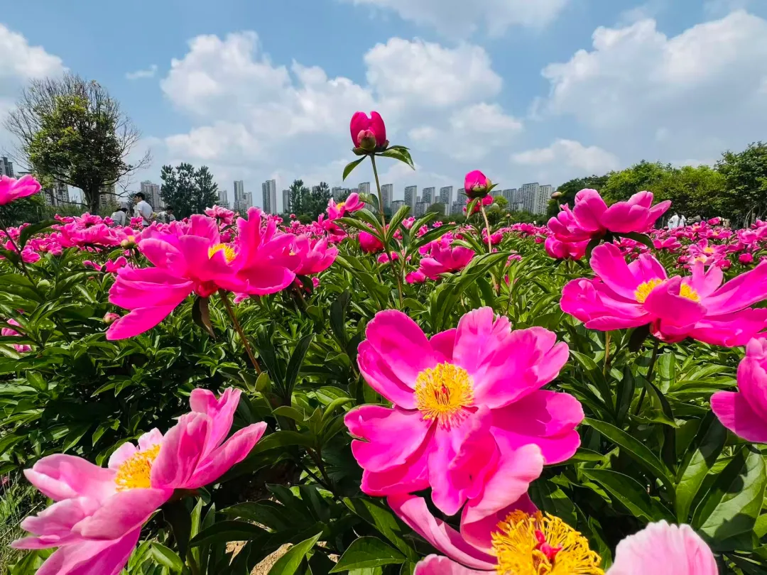 距中考50天丨觉醒时刻 第1张