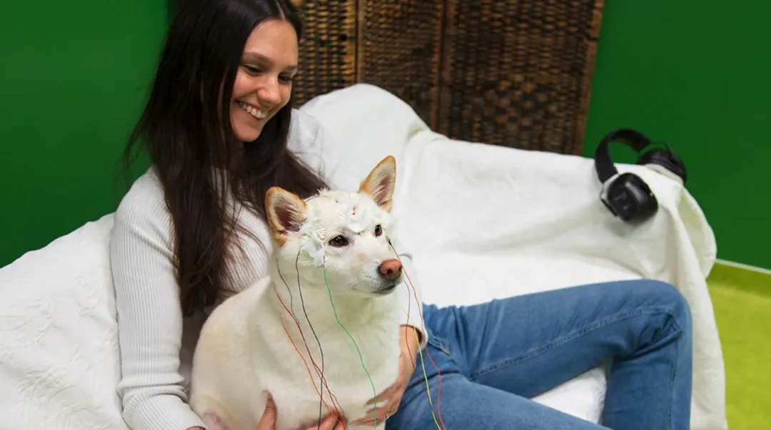 中考英语阅读最容易丢分的,很可能是“过度推理” 第2张