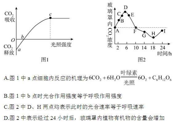 中考化学跨学科实践题:8大核心考点拆解,吃透直接拿分 第16张