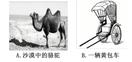七下语文必考名著《骆驼祥子》真题速刷!针对性刷题,快速掌握名著高频考题! 第6张