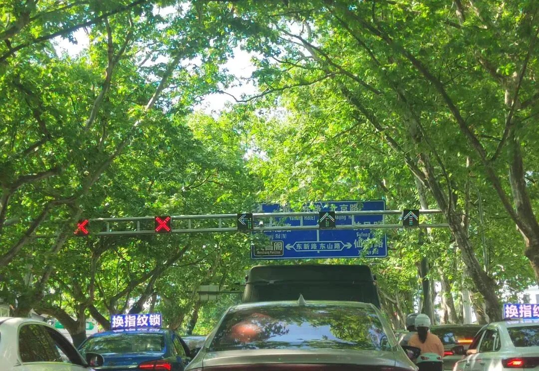 事业单位面试真题:“一老一小”组织调研题 第3张