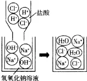 中考总复习:常见的酸碱盐性质与运用 第3张