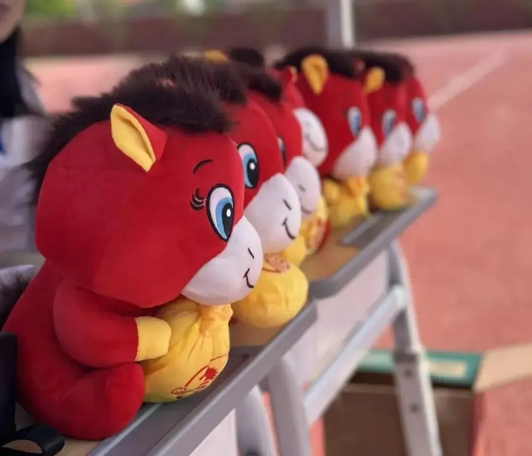 滨州市中考体育特长生模拟测试在滨州初心高中圆满举行 第13张