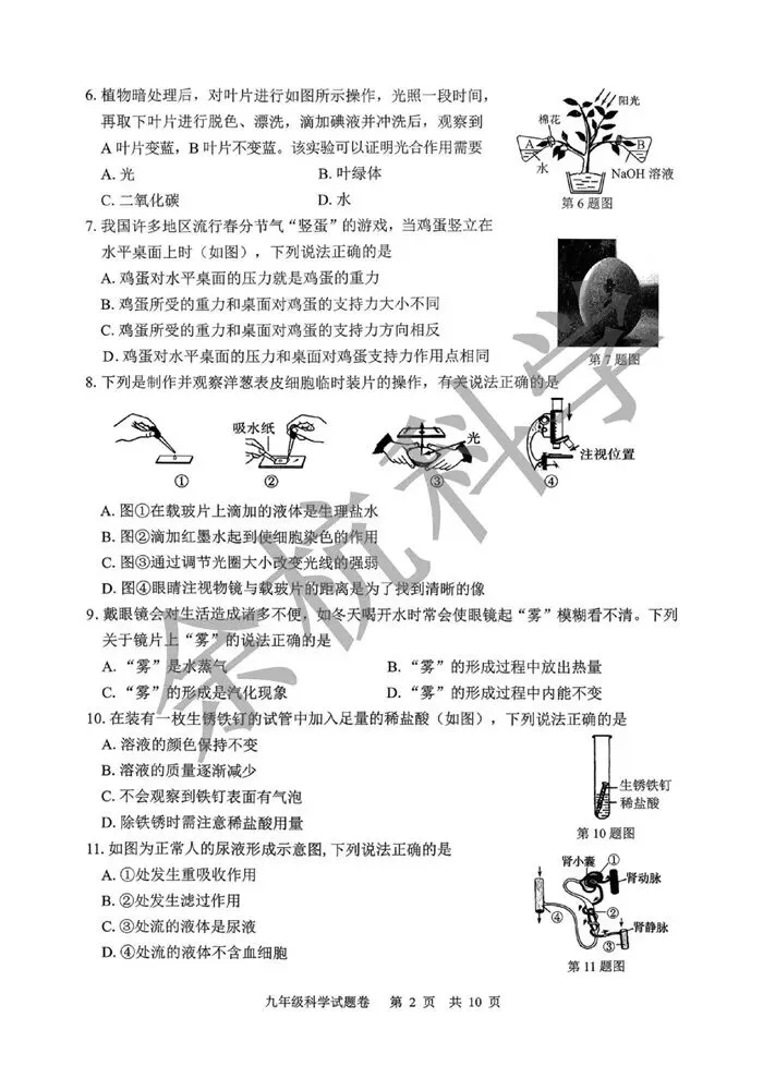 【中考模拟】浙江省丽水市2025学年第二学期初中适应性考试 九年级科学试题卷(一模)(附答案) 第7张