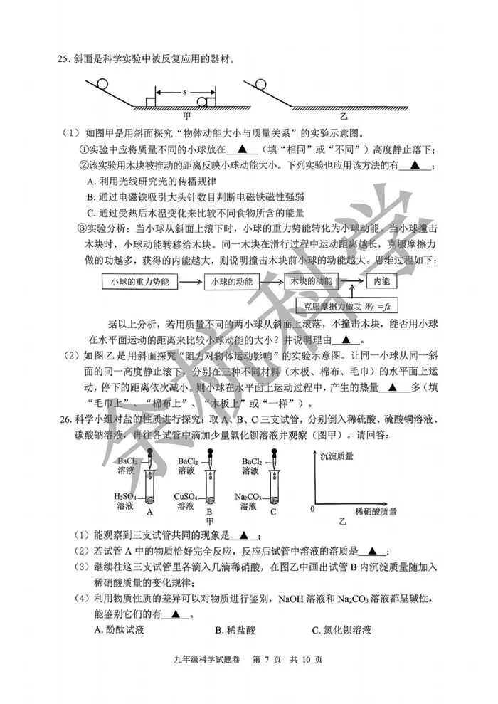 【中考模拟】浙江省丽水市2025学年第二学期初中适应性考试 九年级科学试题卷(一模)(附答案) 第12张