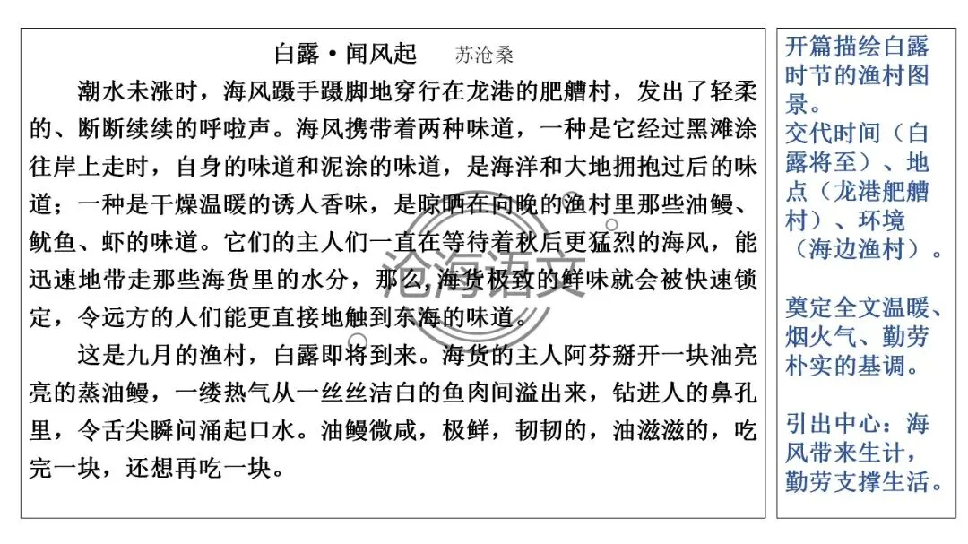 【模考讲评】2026届高三广州二模语文试题讲评 第35张