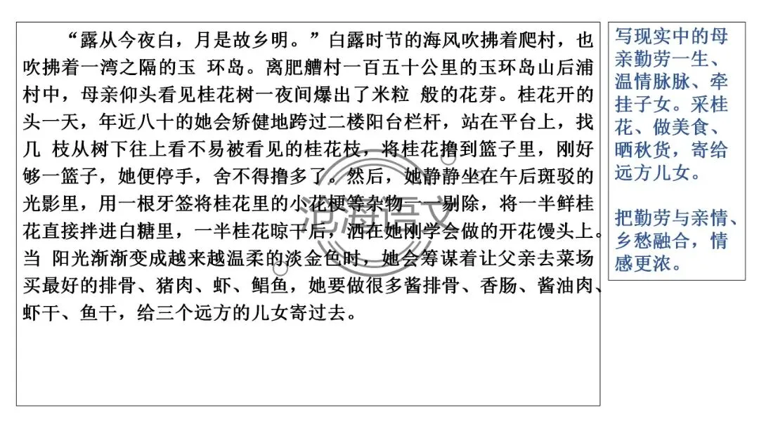 【模考讲评】2026届高三广州二模语文试题讲评 第38张