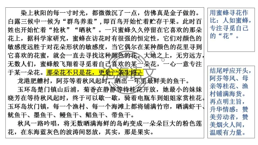 【模考讲评】2026届高三广州二模语文试题讲评 第40张