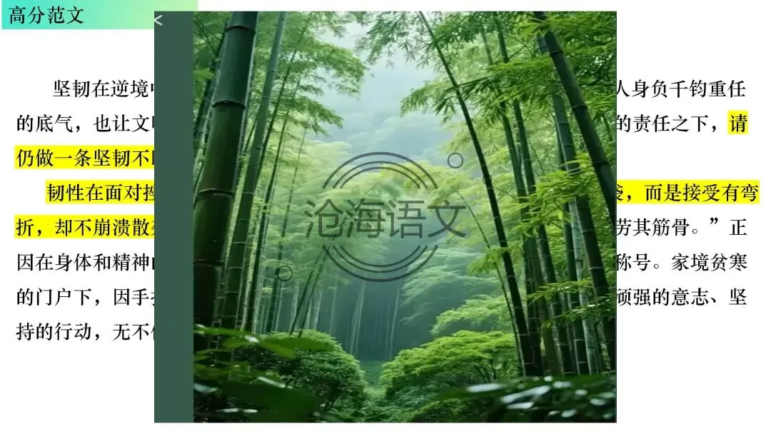 【模考讲评】2026届高三广州二模语文试题讲评 第116张