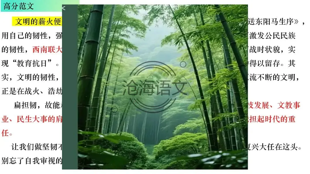 【模考讲评】2026届高三广州二模语文试题讲评 第118张