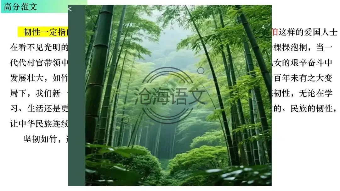 【模考讲评】2026届高三广州二模语文试题讲评 第123张