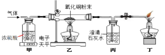 中考科学(浙江)二轮复习冲刺练(5)——气体的鉴定(装置连接) 第2张