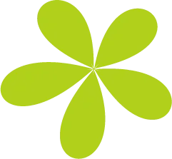 2026 金考卷《中考真题分类训练》英语、数学、物理 第9张