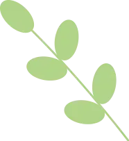 2026 金考卷《中考真题分类训练》英语、数学、物理 第16张