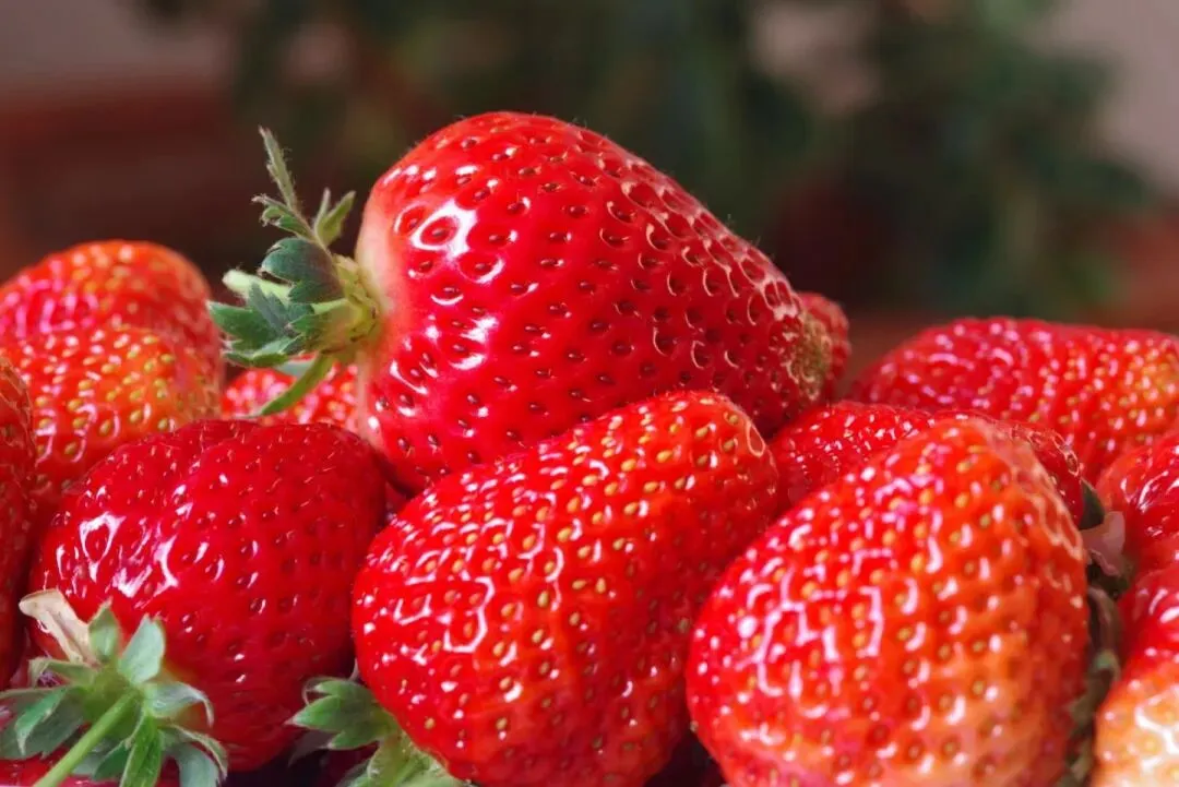 【中考优秀作文】 以心灵温暖心灵 第1张