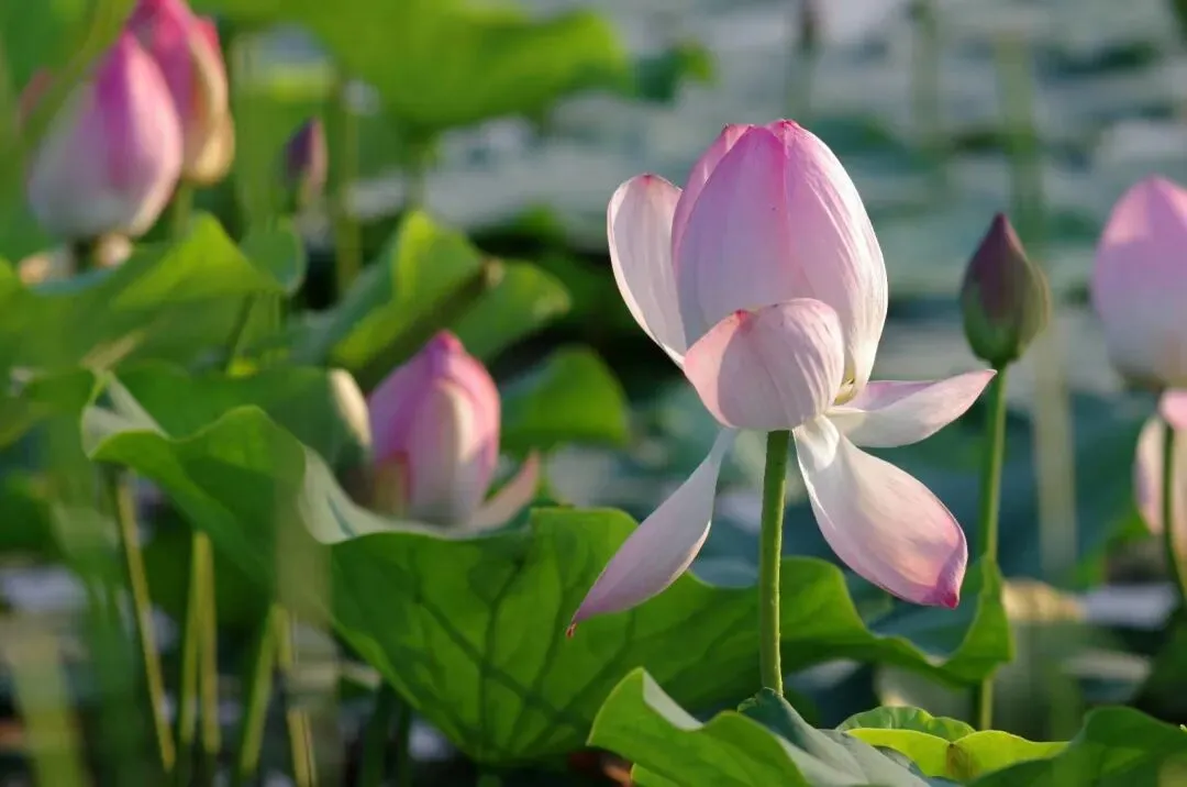 【中考优秀作文】 以心灵温暖心灵 第2张