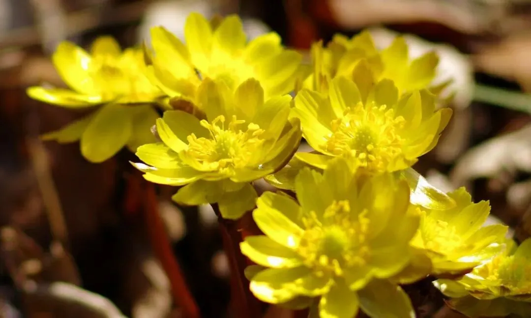 【中考优秀作文】 以心灵温暖心灵 第3张