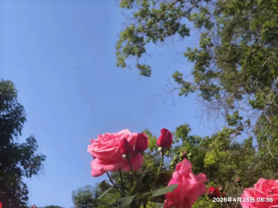 【1513】《一程中考路,半生育人情》 第9张