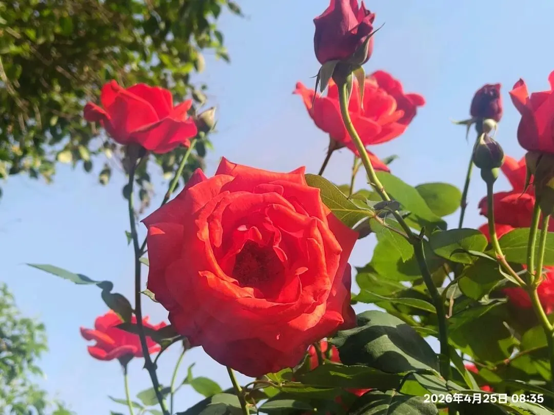 【1513】《一程中考路,半生育人情》 第10张