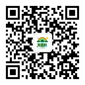 中考特长生真题大汇总——全网归档最清晰,迄今收集最齐全! 第17张