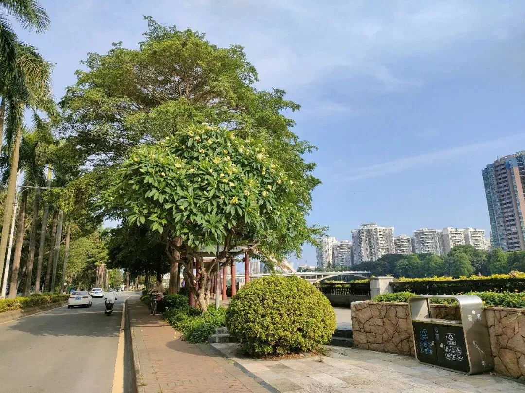 一模成绩出来就崩溃?别慌,中考这局,还没到缴械投降的时候 第1张