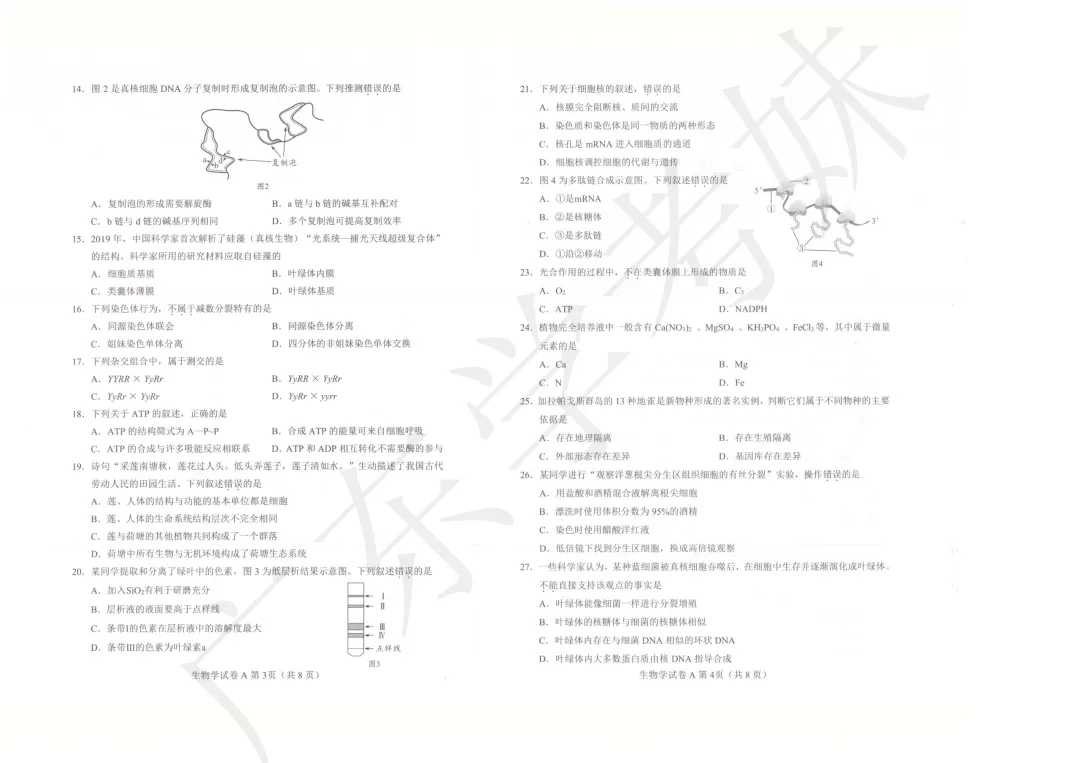 不要错过!7月合格考历史/生物真题持续送,预祝拿A→ 第11张