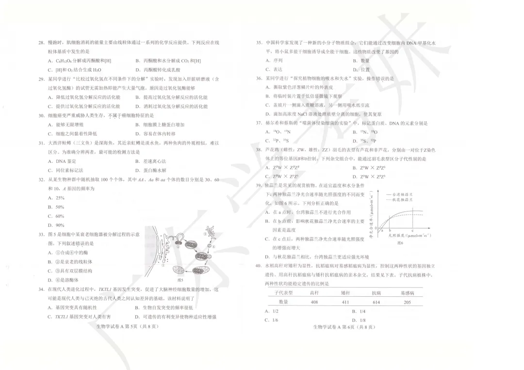 不要错过!7月合格考历史/生物真题持续送,预祝拿A→ 第12张
