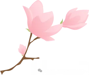 中考作文“审美”题材怎么出彩?高分范文+技法拆解来了 .(附范文,可打印) 第15张