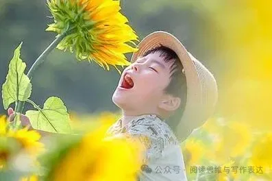 中考作文“审美”题材怎么出彩?高分范文+技法拆解来了 .(附范文,可打印) 第20张