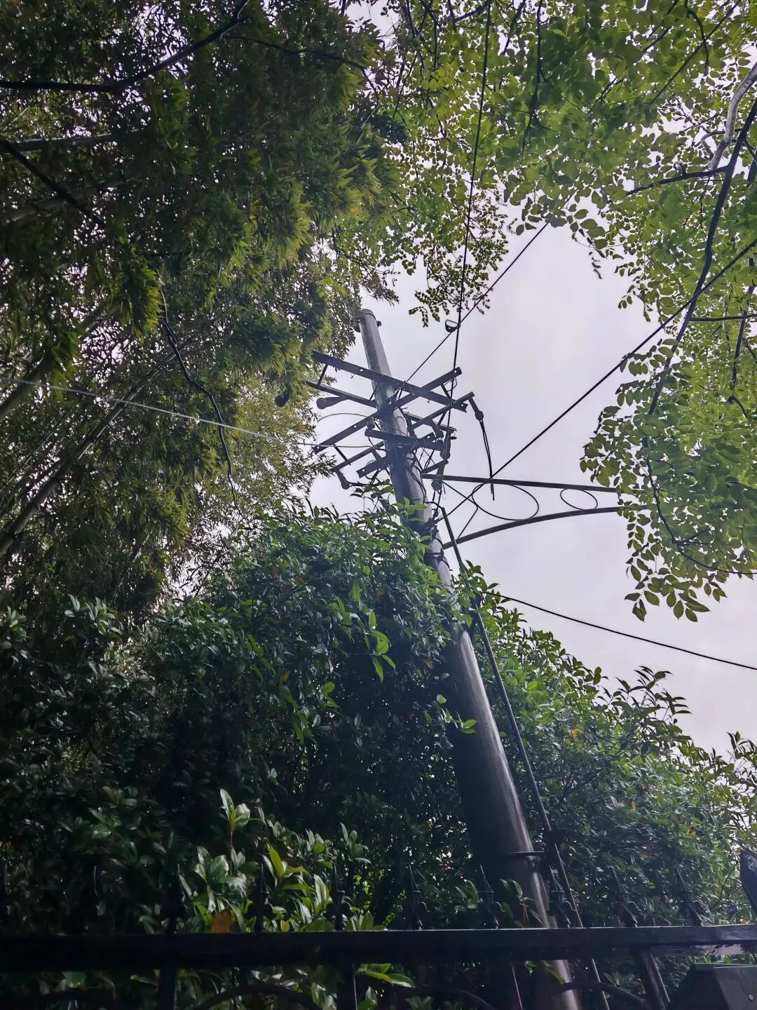 天津试卷风波,谁是赢家! 第2张