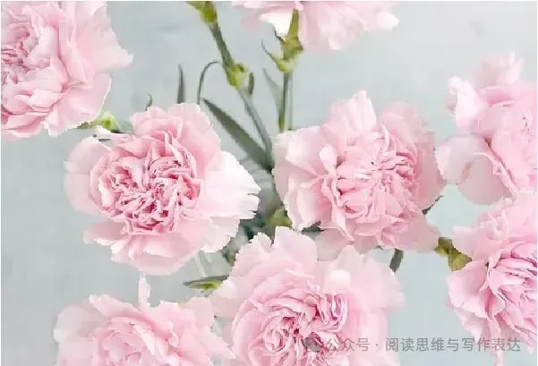 中考作文“审美”题材怎么出彩?高分范文+技法拆解来了 .(附范文,可打印) 第22张