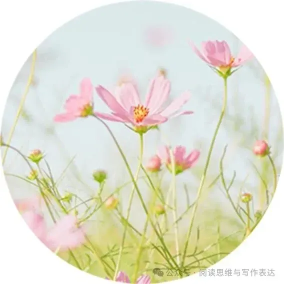 中考作文“审美”题材怎么出彩?高分范文+技法拆解来了 .(附范文,可打印) 第27张