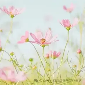 中考作文“审美”题材怎么出彩?高分范文+技法拆解来了 .(附范文,可打印) 第30张