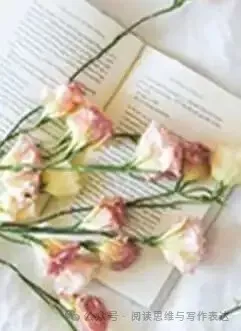 中考作文“审美”题材怎么出彩?高分范文+技法拆解来了 .(附范文,可打印) 第32张