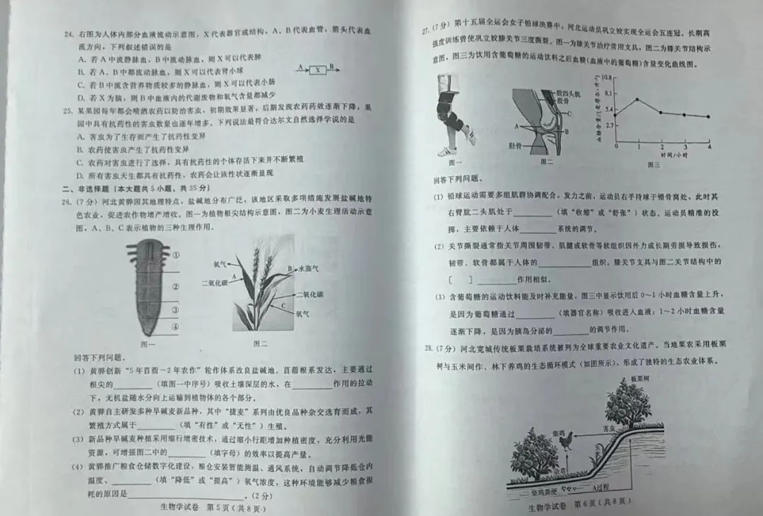 【2026中考】生物模拟一考试试卷,请核对答案 第4张