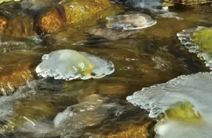 2026年湖南省祁阳市浯溪二中一模试卷 第2张