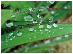 2026年湖南省祁阳市浯溪二中一模试卷 第4张