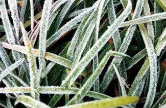 2026年湖南省祁阳市浯溪二中一模试卷 第5张