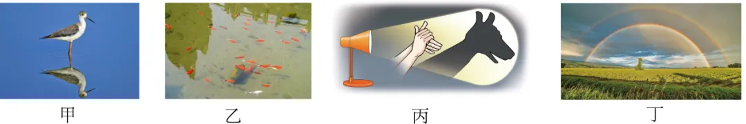 2026年湖南省祁阳市浯溪二中一模试卷 第7张