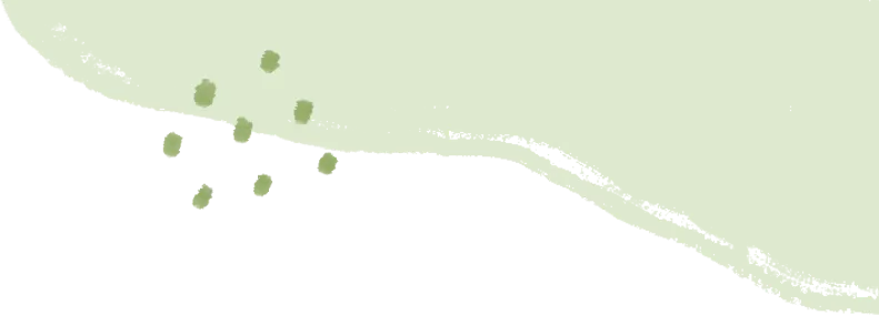 中考“挂车尾”,高考“打头阵”,这个在2025年高考中考出超“特控线”20分的考生说“是育新高中给了我第二次生命” 第2张