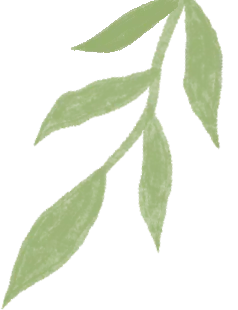 中考“挂车尾”,高考“打头阵”,这个在2025年高考中考出超“特控线”20分的考生说“是育新高中给了我第二次生命” 第4张